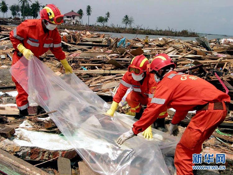 這是2005年1月3日,中國國際救援隊在印度洋海嘯重災區印度尼西亞班達亞齊沿海地區開展災后遺體清理工作。中國國際救援隊于2004年12月30日趕赴印度尼西亞,并從2005年1月1日起在班達亞齊為當地災民開展救助工作。近5年來,中國對外提供了近200次人道主義救災援助。
黨的十六大以來的10年,中國再一次向世界表明,中國的發展是和平的發展,中國對經濟全球化條件下自身發展的認識更加豐富,中國積極維護世界和平,中國日益成為解決國際地區熱點問題的建設性參與者,成為拉動世界經濟增長的重要貢獻者。繼往開來的10年顯示了中國堅定走和平發展道路取得的輝煌成就。
“面向未來,中國將堅定不移做和平發展的實踐者、共同發展的推動者、多邊貿易體制的維護者、全球經濟治理的參與者!敝袊蚴澜绫砻,一個改革開放的中國,一個繁榮發展的中國,一個和諧穩定的中國,必將為世界做出新的更大貢獻。新華社發(翟偉攝)
