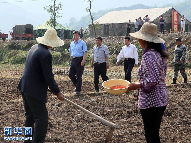  5月21日至23日，中共中央總書記、國家主席、中央軍委主席習近平到四川蘆山地震災區考察，看望慰問受災群眾?！　∵@是5月21日，習近平在蘆山縣龍門鄉青龍場村的農田察看玉米種植情況，詢問災后恢復生產的安排。 　　新華社記者蘭紅光攝 