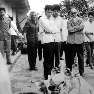 王岐山同志照片集            1982年5月，王岐山（左二）陪同中央農研室領導在福建莆田調研，為起草中央一號文件做準備。