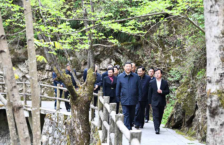 4月20日，中共中央總書記、國家主席、中央軍委主席習近平在陝西考察調研。這是習近平在位於商洛市柞水縣的秦嶺牛背梁國家級自然保護區，考察秦嶺生態保護情況。 新華社記者 謝環馳 攝