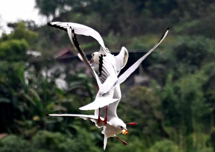 һȺwļttĴʡoДh߅rˮҒʳrrґճһBCȻҲˮrһصľ^