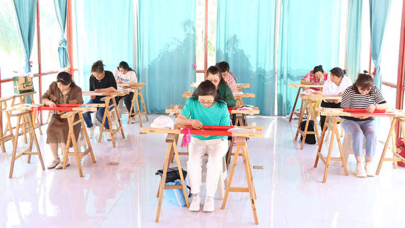 草原上，團結之花在針尖綻放