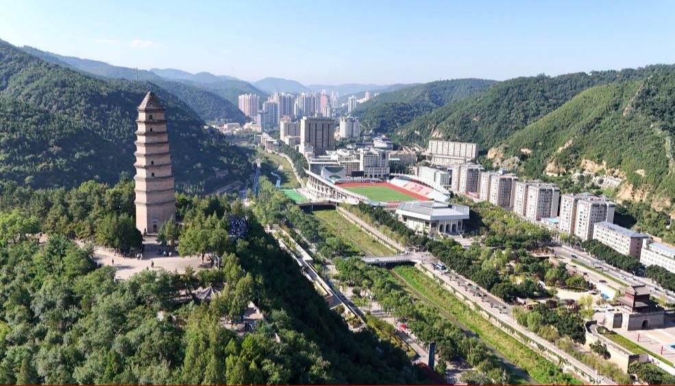 “弘揚延安精神”延安是中國革命的圣地、新中國的搖籃，老一輩革命家和老一代共產黨人在延安時期培育形成的延安精神是我們黨的寶貴精神財富。習近平總書記指出，延安精神“要代代傳承下去”。強國建設、民族復興的新征程上，我們要大力弘揚延安精神，凝聚風雨無阻向前進、越是艱險越向前的奮進動力。