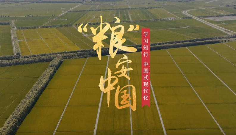 “糧”安中國糧食安全是“國之大者”，“持續增強糧食等重要農產品供給保障能力”，是今年中央一號文件部署的重點任務。新裝備新模式新技術正革新傳統農業，為現代化大農業注入全新活力。