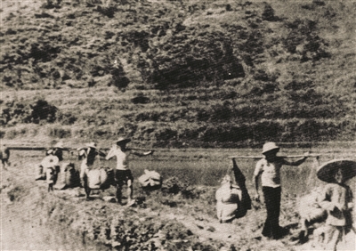 惠寶地區人民送糧食支援子弟兵。深圳東江縱隊紀念館供圖