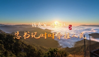 訪農家 進社區 總書記時時牽掛人民