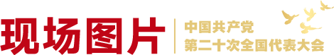 現場圖片欄目條